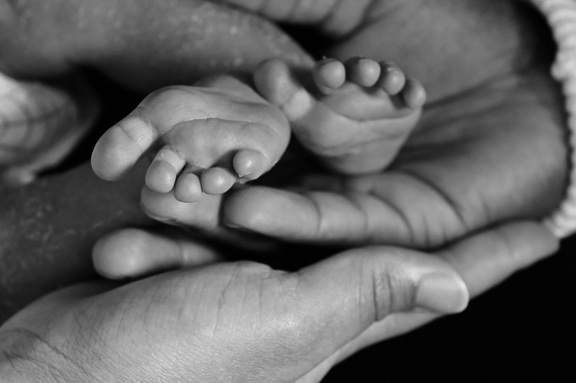 Photo portfolio Studio Photo Chez Soi 13